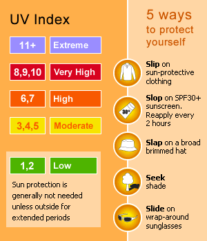 UV Index Panel